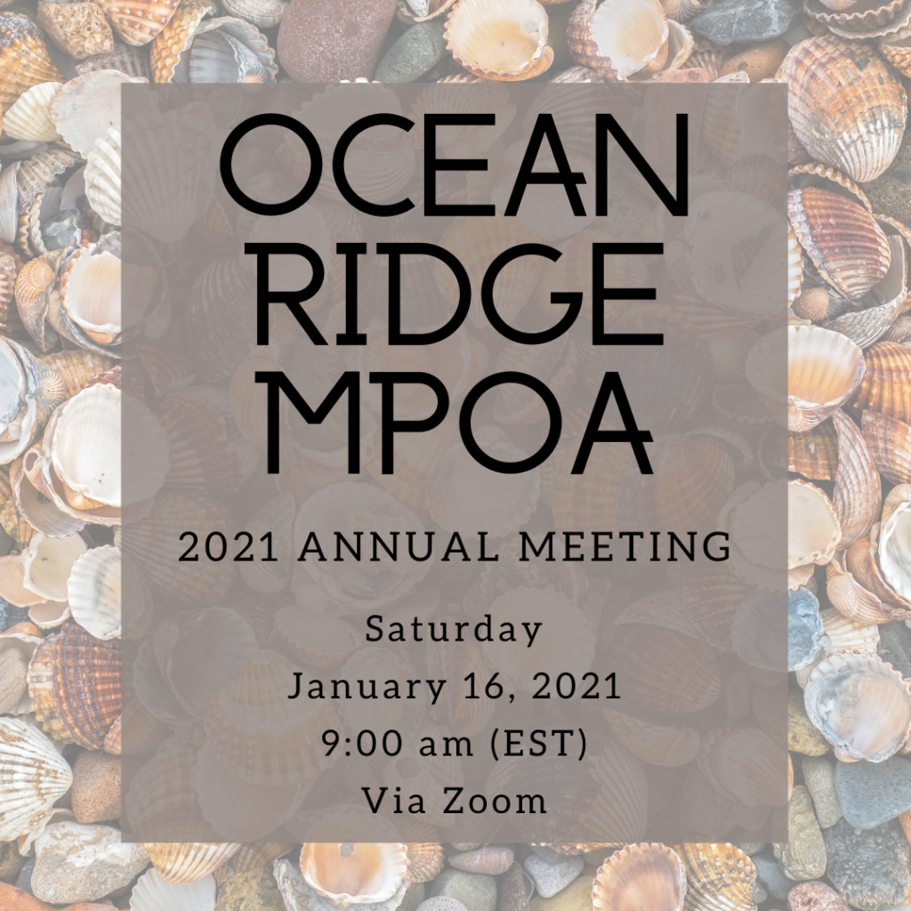 photo of 2021 annual meeting flyer
